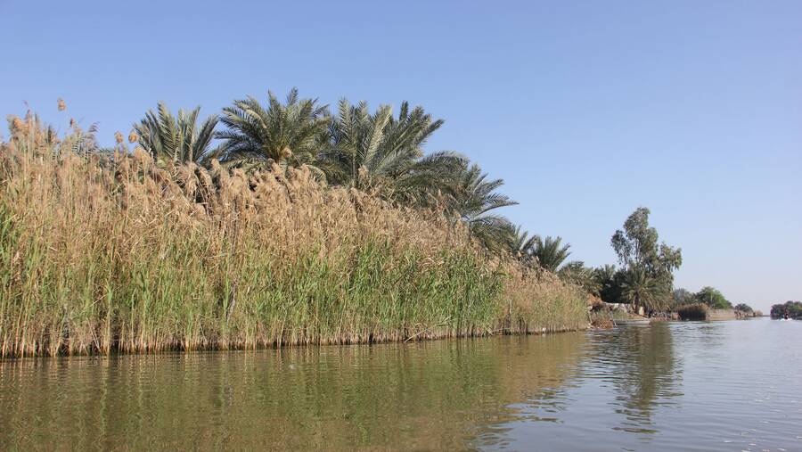 تالاب شادگان